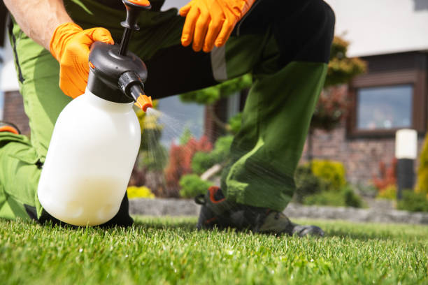 Best Wildlife Control Services  in Warner, OK