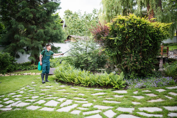 Wasp Removal Services in Warner, OK
