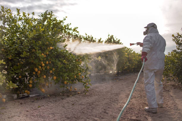 Best Pest Prevention Services  in Warner, OK