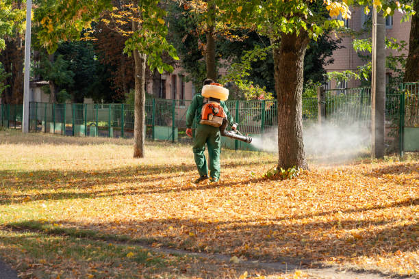 Best Mosquito Control Services  in Warner, OK